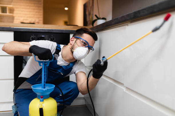 Best Pest Inspection Near Me  in Springville, AL