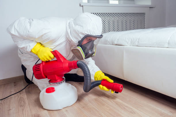 Best Bed Bug Extermination  in Springville, AL