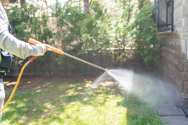 Best Rat Extermination Near Me  in Springville, AL