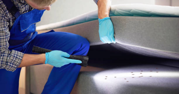 Pest Control Cost in Springville, AL