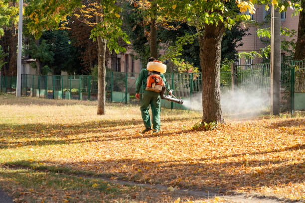 Best Affordable Pest Control Services  in Springville, AL
