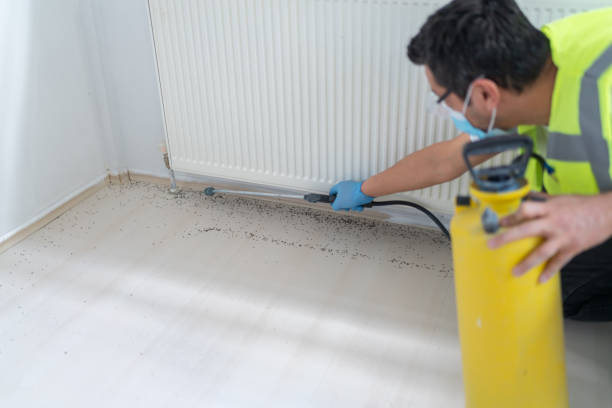 Best Best Pest Control Companies  in Springville, AL